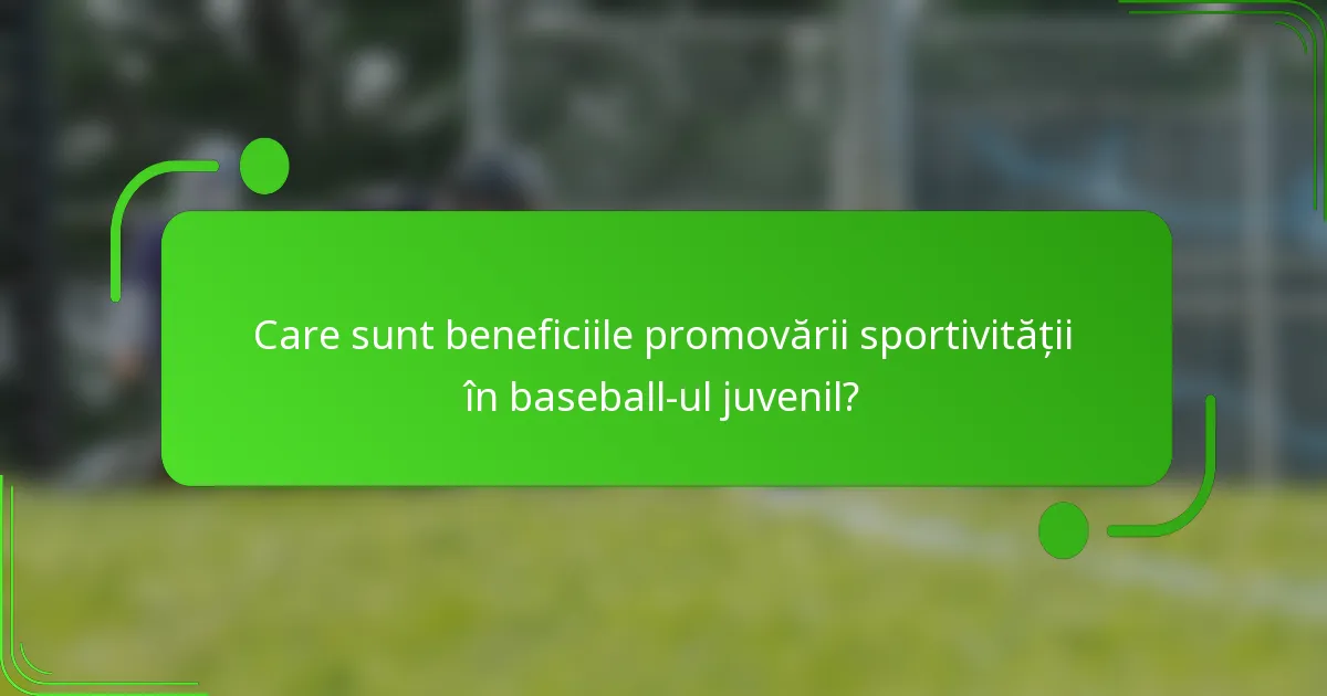 Care sunt beneficiile promovării sportivității în baseball-ul juvenil?
