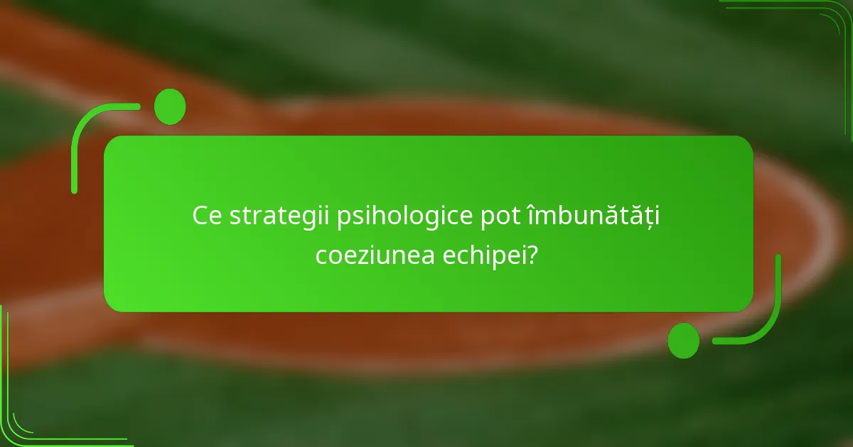 Ce strategii psihologice pot îmbunătăți coeziunea echipei?