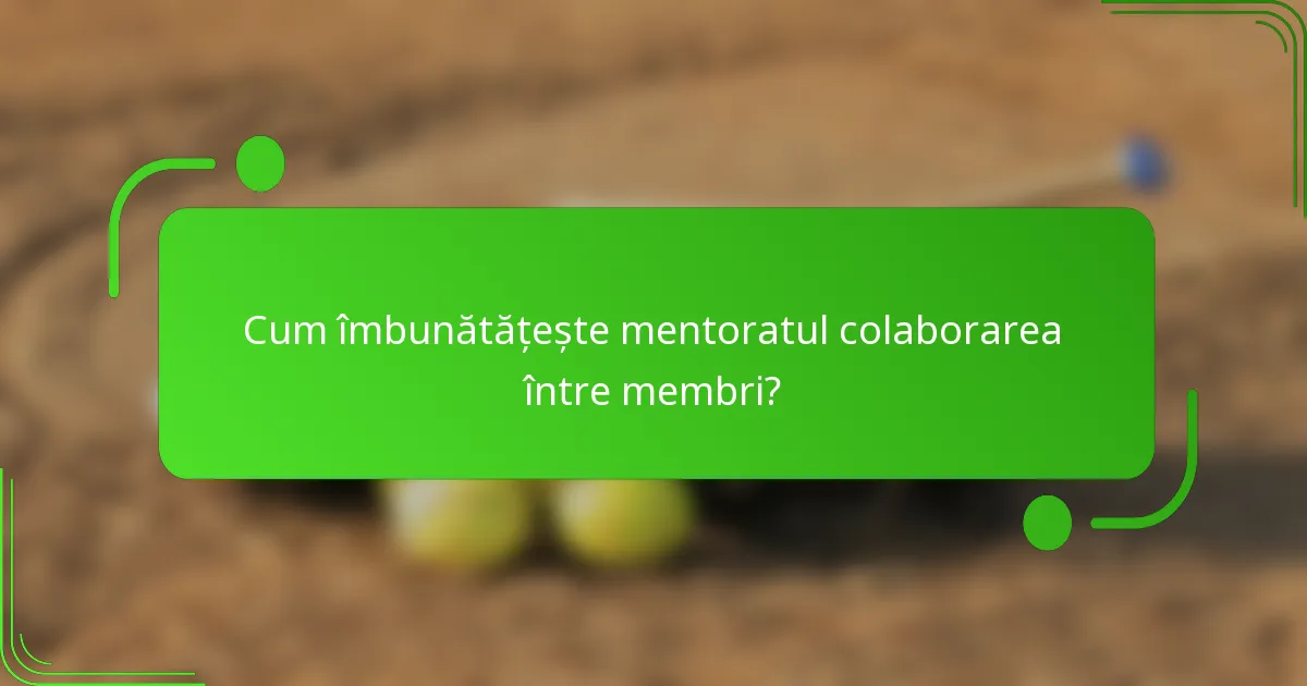 Cum îmbunătățește mentoratul colaborarea între membri?